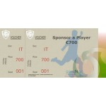 Sponsor A Player €700